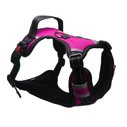 Dog Safety Harness for Large Breeds with Leash