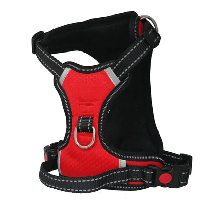Dog Safety Harness for Large Breeds with Leash