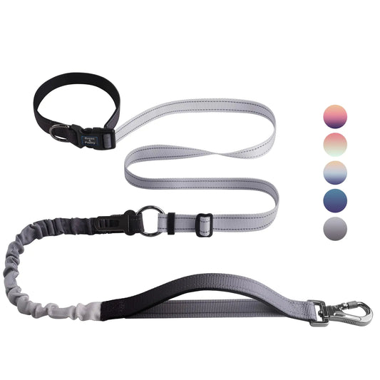 Dog Leash for Medium Large Dogs Heavy Duty No Pull Bungee Dog Running Waist Leash for Walking Training with Car Seatbelt 4-6FT
